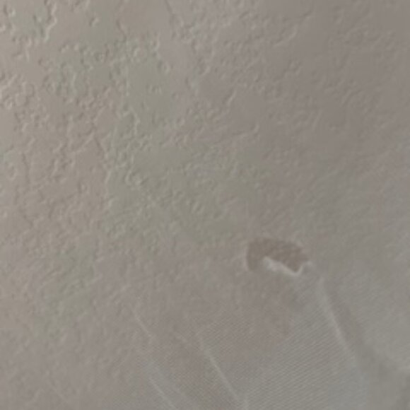 Watters Rutledge BHLDN Wedding Dress - Picture 11 of 11